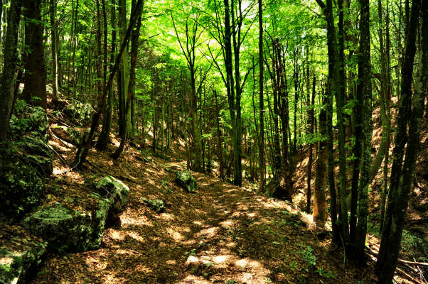 Campo Croce, Camol, Legnarola, val Poise