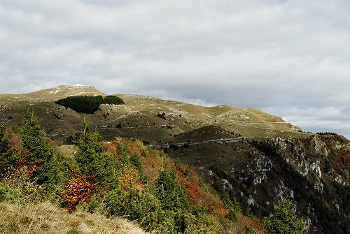 Cima Grappa monte Grappa