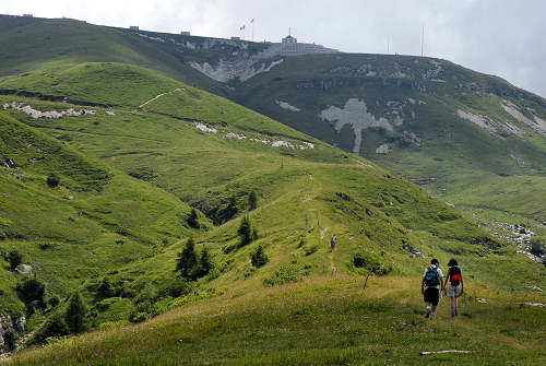 Cima Grappa - Monte Grappa