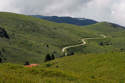 Cima Grappa - Monte Grappa