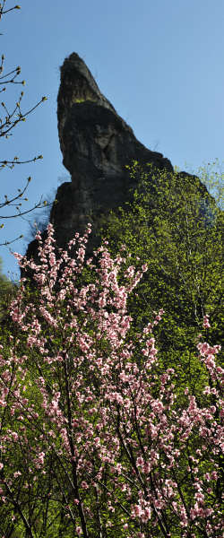 Gusela di Val Goccia a Cismon del Grappa