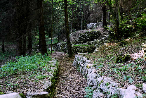 sistema fortificato di Col Andreon, zona Camposolagna sul Monte Grappa