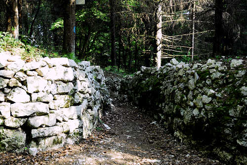 sistema fortificato di Col Andreon, zona Camposolagna sul Monte Grappa