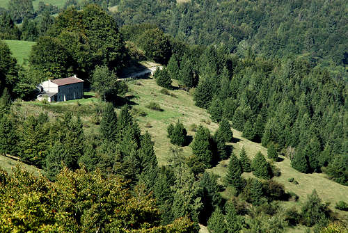 Colli Alti - Monte Grappa
