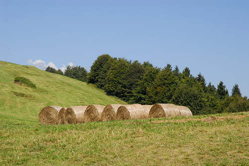 Colli Alti - Monte Grappa