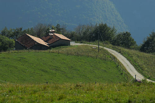 Colli Alti - Monte Grappa