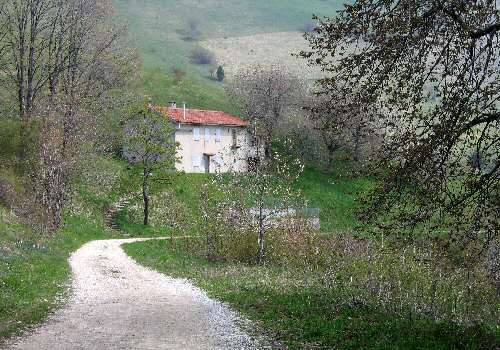 strada delle Penise o Moschina Bassa