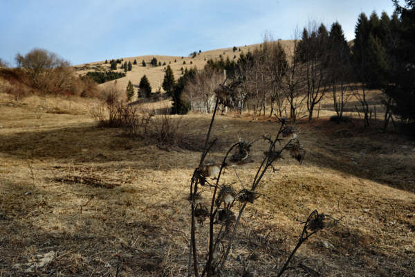 Monte Oro, Colli Vecchi, Cima Grappa