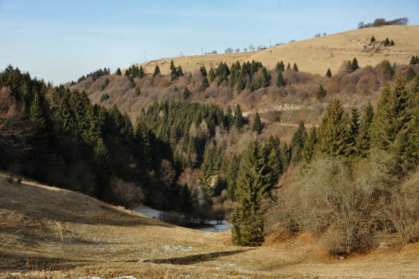 Monte Oro, Colli Vecchi, Cima Grappa