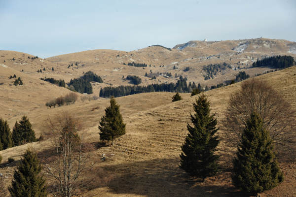 Monte Oro, Colli Vecchi, Cima Grappa