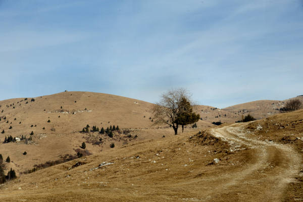 Monte Oro, Colli Vecchi, Cima Grappa