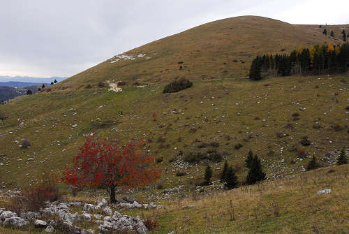 Valle delle Foglie, Colli Vecchi, Cima Grappa