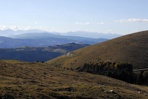 Valle delle Foglie, Colli Vecchi, Cima Grappa