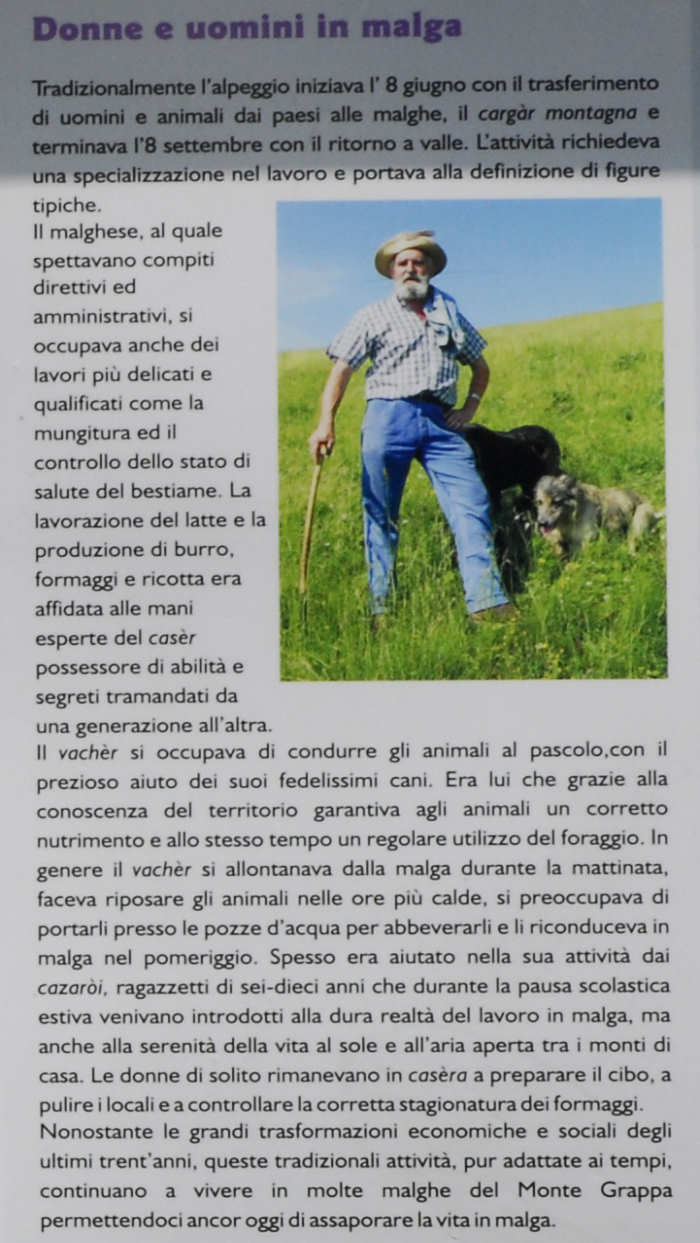 Malga Il Piz, Alano di Piave, Cima della Mandria