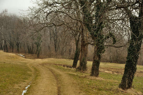 sentiero Piere Rosse, Covolo, Vivai Astego a Crespano