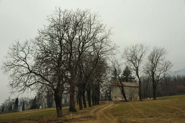 sentiero Piere Rosse, Covolo, Vivai Astego a Crespano