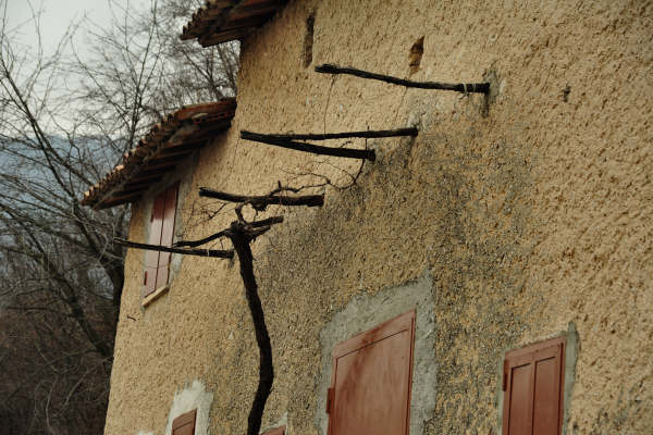 sentiero dal Santuario del Covolo a Cassanego di Borso