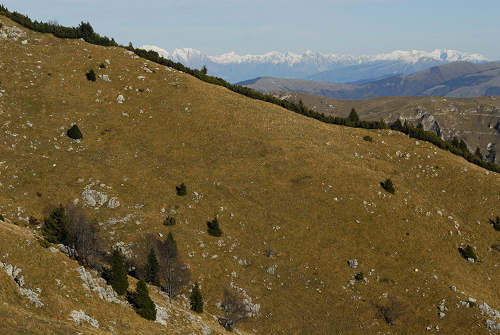 da Madonna del Covolo a Cima Grappa, mulattiera del Covolo - Crespano del Grappa