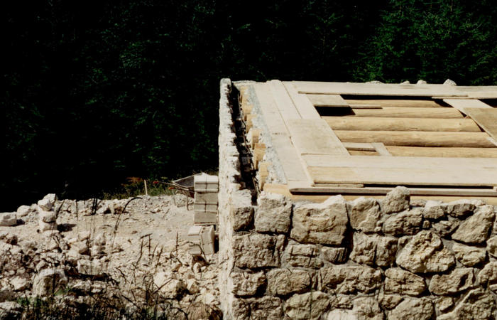 sfojarol di malga Valpore - valle di Seren del Grappa