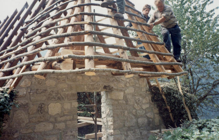 sfojarol di malga Valpore - valle di Seren del Grappa