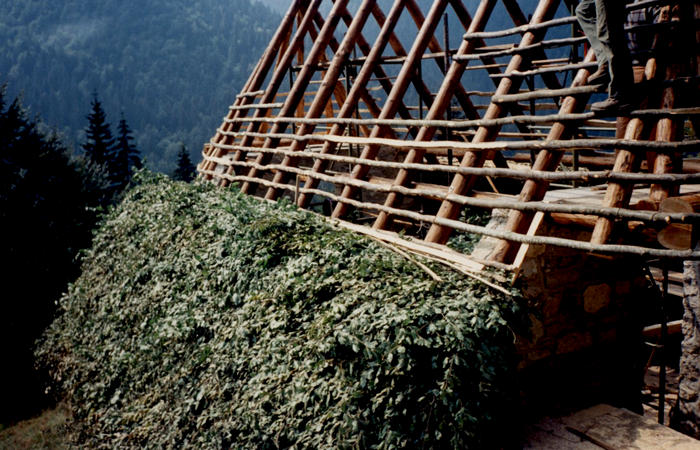 sfojarol di malga Valpore - valle di Seren del Grappa