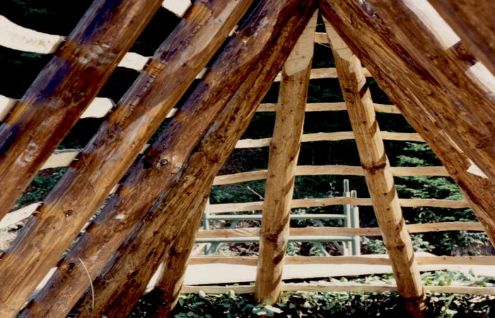 sfojarol di malga Valpore - valle di Seren del Grappa