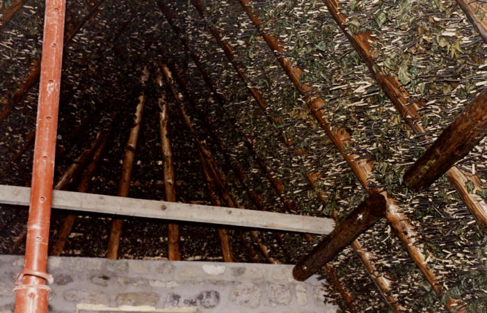 sfojarol di malga Valpore - valle di Seren del Grappa