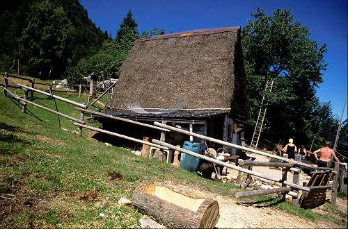 fojarol in val Dumela