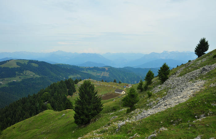 escursione dorsale CimaGrappa-Solaroli / Croce dei Lebi Col dell'Orso Salarolo Valderoa Fontanasecca Val delle Mure Cason del Sole Pian di Bala Val Vecia