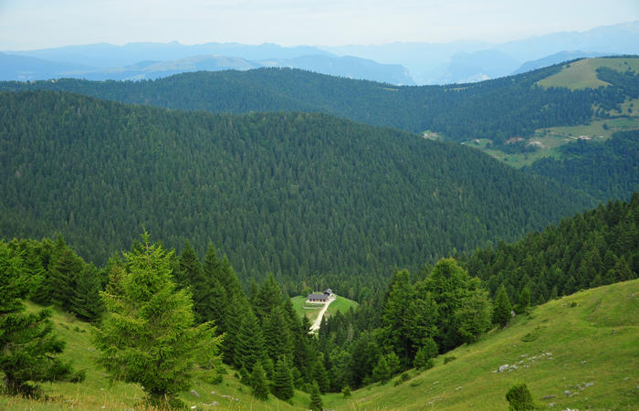 escursione dorsale CimaGrappa-Solaroli / Croce dei Lebi Col dell'Orso Salarolo Valderoa Fontanasecca Val delle Mure Cason del Sole Pian di Bala Val Vecia