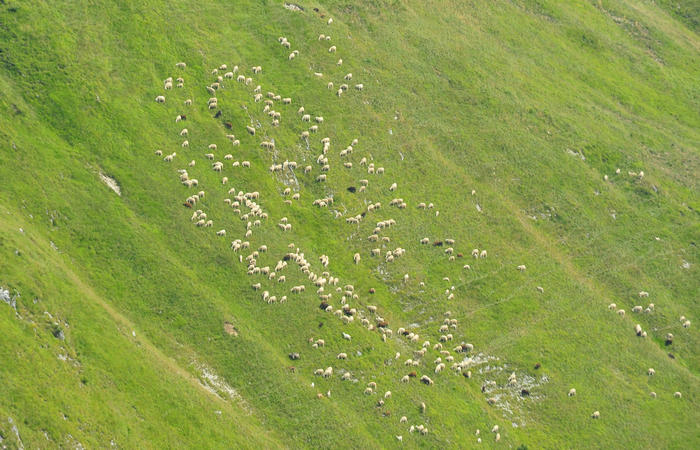escursione dorsale CimaGrappa-Solaroli / Croce dei Lebi Col dell'Orso Salarolo Valderoa Fontanasecca Val delle Mure Cason del Sole Pian di Bala Val Vecia