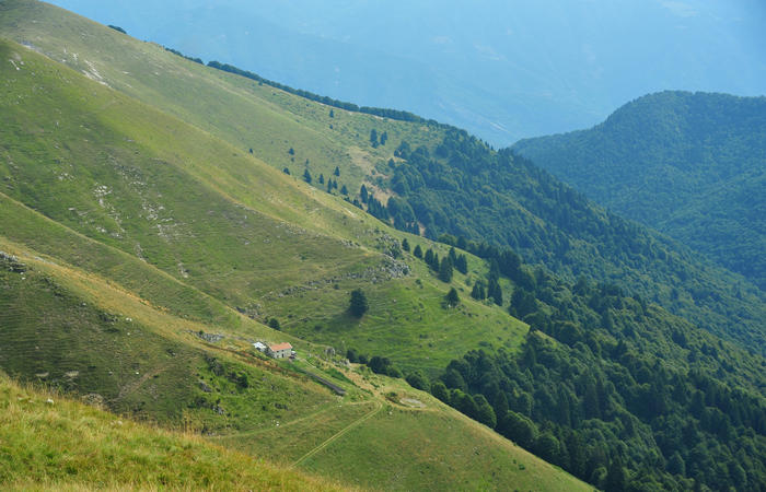 escursione dorsale CimaGrappa-Solaroli / Croce dei Lebi Col dell'Orso Salarolo Valderoa Fontanasecca Val delle Mure Cason del Sole Pian di Bala Val Vecia
