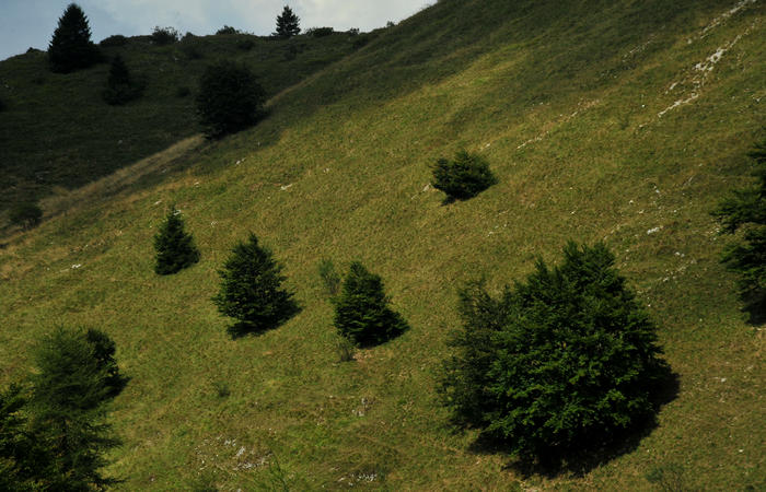 escursione dorsale CimaGrappa-Solaroli / Croce dei Lebi Col dell'Orso Salarolo Valderoa Fontanasecca Val delle Mure Cason del Sole Pian di Bala Val Vecia