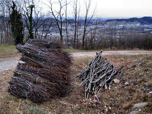 Bastia a Cavaso del Tomba