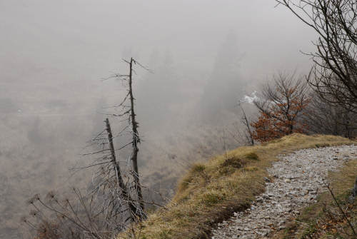 mulattiera del Boccaor, Archeson, Meatte, Val delle Mure, Valle San Liberale - Monte Grappa