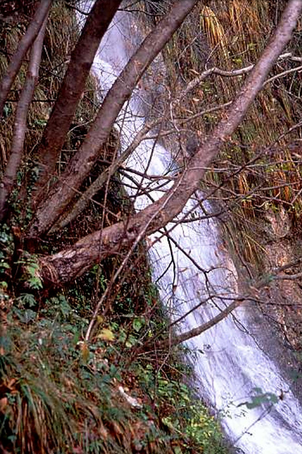 cascata di Valle Santa Felicita, Romano Alto Romano d'Ezzelino