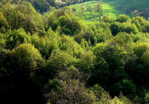 Alano di Piave (Belluno) - Monte Grappa
