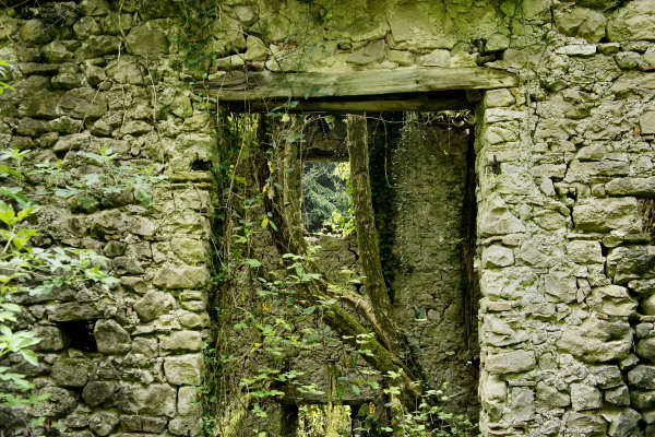 Campo f.lla SanDaniele ponte La Stua Colmirano, Alano di Piave monte Grappa