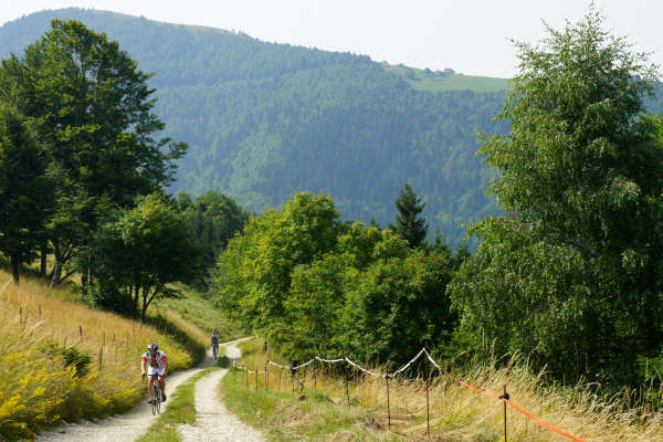 salita Cismon Corlo Col dei Prai Forcelletto Cima Grappa