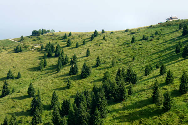 Val Cesilla alta Valle del Termine, Asolone