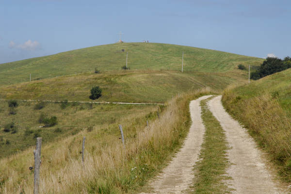 Camposolagna San Giovanni Colli Alti Col Fenilon Finestron Asolone Lepre