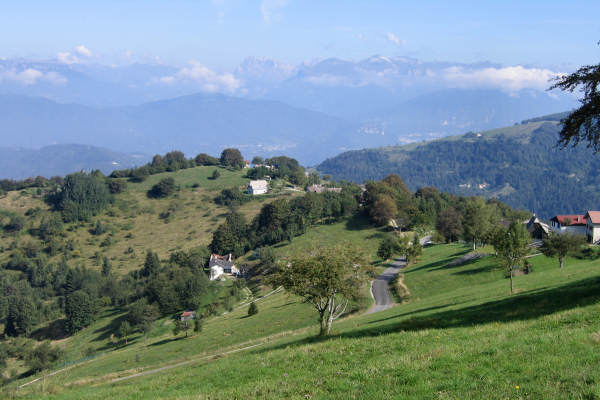 Camposolagna San Giovanni Colli Alti Col Fenilon Finestron Asolone Lepre