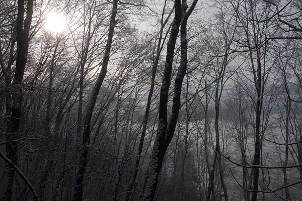 Vedetta dell'Archeson, Salto della Capra