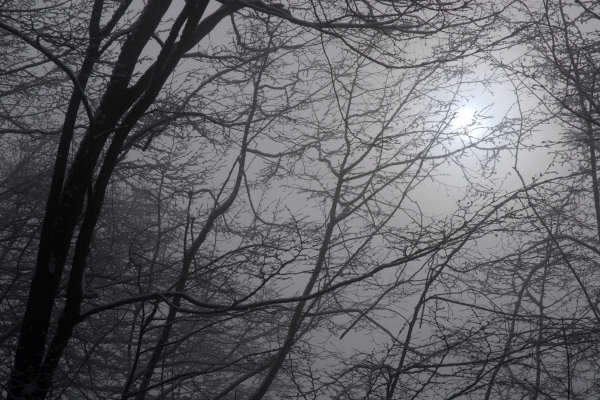 Vedetta dell'Archeson, Salto della Capra