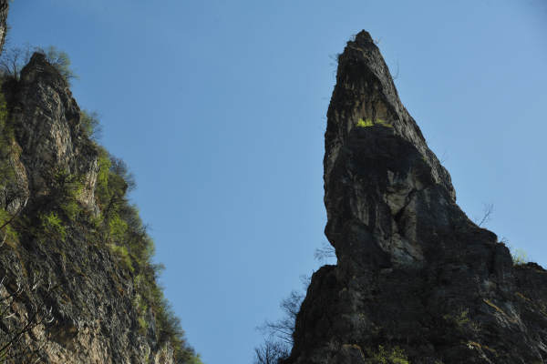 Cismon del Grappa, Val Goccia Cesilla, Col dei Prai