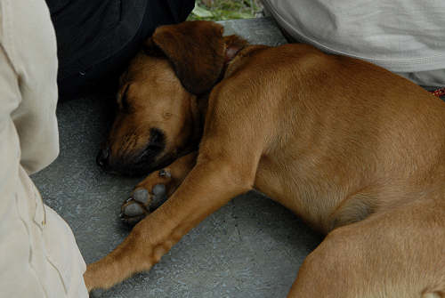 rifugio Alpe Madre ai Colli Alti, Monte Grappa