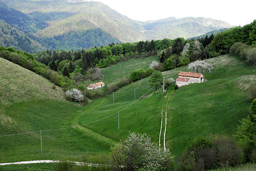 sistema fortificato di Col Andreon, zona Camposolagna sul Monte Grappa
