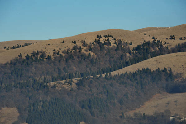 Col Fenilon, Col Moschin, Colli Alti, Camposolagna, Monte Grappa