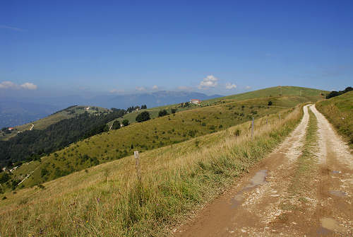 Colli Alti - Monte Grappa