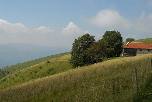 Colli Alti - Monte Grappa